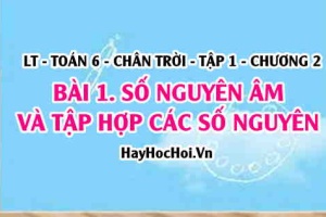 Khái niệm số nguyên âm, số đối của 1 số nguyên, cách biểu diễn số nguyên trên trục số? Toán 6 chân trời Tập 1 chương 2 Bài 1